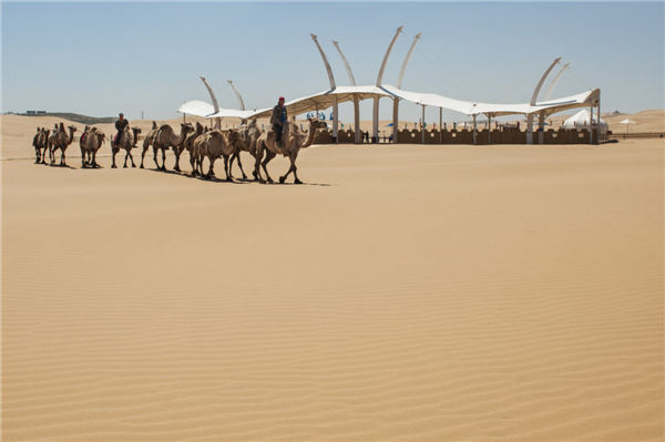 响沙湾,沙漠,度假地,景区,旅游,图片,照片,摄影,内蒙古响沙湾,内蒙古旅游,鄂尔多斯市旅游,莲花酒店,莲花度假酒店,莲沙度假岛,福沙度假岛,悦沙休闲岛,仙沙休闲岛,一粒沙度假村,在线预订,预定,旅行社,AAAAA,5A级旅游景区,库布齐,库布其沙漠,库布其旅游