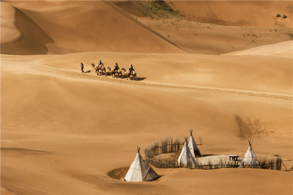 响沙湾,沙漠,度假地,景区,旅游,图片,照片,摄影,内蒙古响沙湾,内蒙古旅游,鄂尔多斯市旅游,莲花酒店,莲花度假酒店,莲沙度假岛,福沙度假岛,悦沙休闲岛,仙沙休闲岛,一粒沙度假村,在线预订,预定,旅行社,AAAAA,5A级旅游景区,库布齐,库布其沙漠,库布其旅游