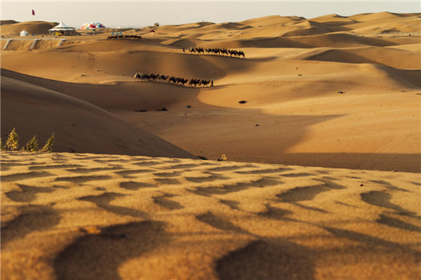 响沙湾,沙漠,度假地,景区,旅游,图片,照片,摄影,内蒙古响沙湾,内蒙古旅游,鄂尔多斯市旅游,莲花酒店,莲花度假酒店,莲沙度假岛,福沙度假岛,悦沙休闲岛,仙沙休闲岛,一粒沙度假村,在线预订,预定,旅行社,AAAAA,5A级旅游景区,库布齐,库布其沙漠,库布其旅游