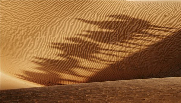 响沙湾,沙漠,度假地,景区,旅游,图片,照片,摄影,内蒙古响沙湾,内蒙古旅游,鄂尔多斯市旅游,莲花酒店,莲花度假酒店,莲沙度假岛,福沙度假岛,悦沙休闲岛,仙沙休闲岛,一粒沙度假村,在线预订,预定,旅行社,AAAAA,5A级旅游景区,库布齐,库布其沙漠,库布其旅游