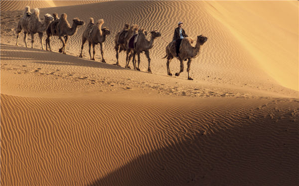 响沙湾,沙漠,度假地,景区,旅游,图片,照片,摄影,内蒙古响沙湾,内蒙古旅游,鄂尔多斯市旅游,莲花酒店,莲花度假酒店,莲沙度假岛,福沙度假岛,悦沙休闲岛,仙沙休闲岛,一粒沙度假村,在线预订,预定,旅行社,AAAAA,5A级旅游景区,库布齐,库布其沙漠,库布其旅游