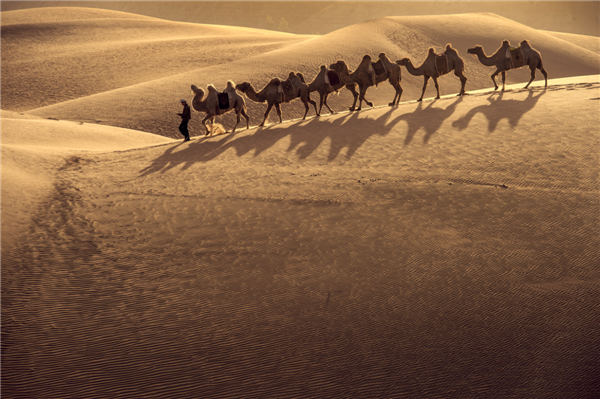 响沙湾,沙漠,度假地,景区,旅游,图片,照片,摄影,内蒙古响沙湾,内蒙古旅游,鄂尔多斯市旅游,莲花酒店,莲花度假酒店,莲沙度假岛,福沙度假岛,悦沙休闲岛,仙沙休闲岛,一粒沙度假村,在线预订,预定,旅行社,AAAAA,5A级旅游景区,库布齐,库布其沙漠,库布其旅游