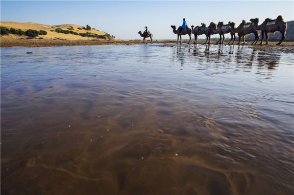 响沙湾,沙漠,度假地,景区,旅游,图片,照片,摄影,内蒙古响沙湾,内蒙古旅游,鄂尔多斯市旅游,莲花酒店,莲花度假酒店,莲沙度假岛,福沙度假岛,悦沙休闲岛,仙沙休闲岛,一粒沙度假村,在线预订,预定,旅行社,AAAAA,5A级旅游景区,库布齐,库布其沙漠,库布其旅游