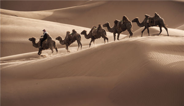 响沙湾,沙漠,度假地,景区,旅游,图片,照片,摄影,内蒙古响沙湾,内蒙古旅游,鄂尔多斯市旅游,莲花酒店,莲花度假酒店,莲沙度假岛,福沙度假岛,悦沙休闲岛,仙沙休闲岛,一粒沙度假村,在线预订,预定,旅行社,AAAAA,5A级旅游景区,库布齐,库布其沙漠,库布其旅游