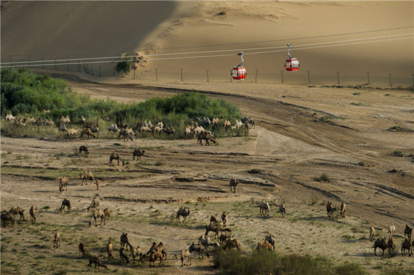 响沙湾,沙漠,度假地,景区,旅游,图片,照片,摄影,内蒙古响沙湾,内蒙古旅游,鄂尔多斯市旅游,莲花酒店,莲花度假酒店,莲沙度假岛,福沙度假岛,悦沙休闲岛,仙沙休闲岛,一粒沙度假村,在线预订,预定,旅行社,AAAAA,5A级旅游景区,库布齐,库布其沙漠,库布其旅游