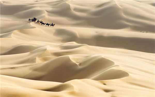 响沙湾,沙漠,度假地,景区,旅游,图片,照片,摄影,内蒙古响沙湾,内蒙古旅游,鄂尔多斯市旅游,莲花酒店,莲花度假酒店,莲沙度假岛,福沙度假岛,悦沙休闲岛,仙沙休闲岛,一粒沙度假村,在线预订,预定,旅行社,AAAAA,5A级旅游景区,库布齐,库布其沙漠,库布其旅游