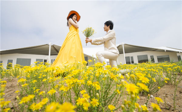 响沙湾,沙漠,度假地,景区,旅游,图片,照片,摄影,内蒙古响沙湾,内蒙古旅游,鄂尔多斯市旅游,莲花酒店,莲花度假酒店,莲沙度假岛,福沙度假岛,悦沙休闲岛,仙沙休闲岛,一粒沙度假村,在线预订,预定,旅行社,AAAAA,5A级旅游景区,库布齐,库布其沙漠,库布其旅游