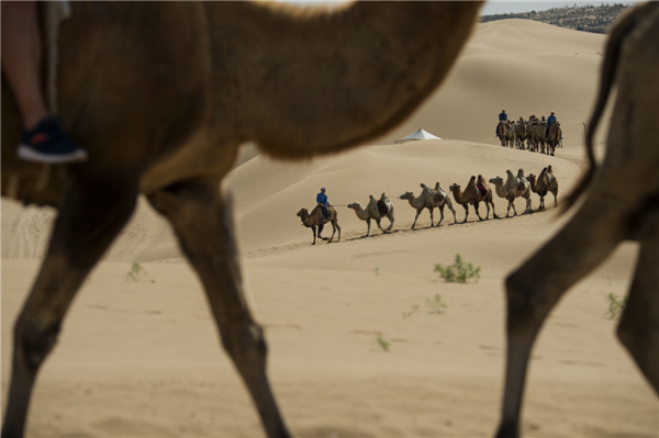 响沙湾,沙漠,度假地,景区,旅游,图片,照片,摄影,内蒙古响沙湾,内蒙古旅游,鄂尔多斯市旅游,莲花酒店,莲花度假酒店,莲沙度假岛,福沙度假岛,悦沙休闲岛,仙沙休闲岛,一粒沙度假村,在线预订,预定,旅行社,AAAAA,5A级旅游景区,库布齐,库布其沙漠,库布其旅游