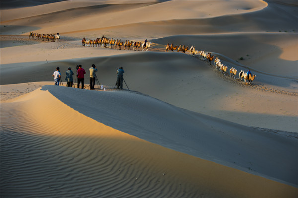 响沙湾,沙漠,度假地,景区,旅游,图片,照片,摄影,内蒙古响沙湾,内蒙古旅游,鄂尔多斯市旅游,莲花酒店,莲花度假酒店,莲沙度假岛,福沙度假岛,悦沙休闲岛,仙沙休闲岛,一粒沙度假村,在线预订,预定,旅行社,AAAAA,5A级旅游景区,库布齐,库布其沙漠,库布其旅游