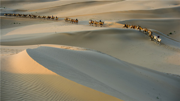 响沙湾,沙漠,度假地,景区,旅游,图片,照片,摄影,内蒙古响沙湾,内蒙古旅游,鄂尔多斯市旅游,莲花酒店,莲花度假酒店,莲沙度假岛,福沙度假岛,悦沙休闲岛,仙沙休闲岛,一粒沙度假村,在线预订,预定,旅行社,AAAAA,5A级旅游景区,库布齐,库布其沙漠,库布其旅游