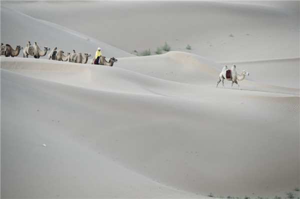 响沙湾,沙漠,度假地,景区,旅游,图片,照片,摄影,内蒙古响沙湾,内蒙古旅游,鄂尔多斯市旅游,莲花酒店,莲花度假酒店,莲沙度假岛,福沙度假岛,悦沙休闲岛,仙沙休闲岛,一粒沙度假村,在线预订,预定,旅行社,AAAAA,5A级旅游景区,库布齐,库布其沙漠,库布其旅游