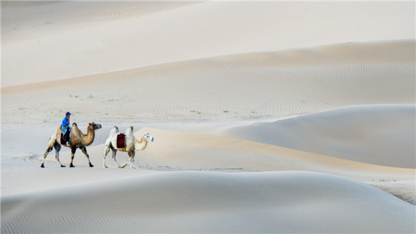 响沙湾,沙漠,度假地,景区,旅游,图片,照片,摄影,内蒙古响沙湾,内蒙古旅游,鄂尔多斯市旅游,莲花酒店,莲花度假酒店,莲沙度假岛,福沙度假岛,悦沙休闲岛,仙沙休闲岛,一粒沙度假村,在线预订,预定,旅行社,AAAAA,5A级旅游景区,库布齐,库布其沙漠,库布其旅游