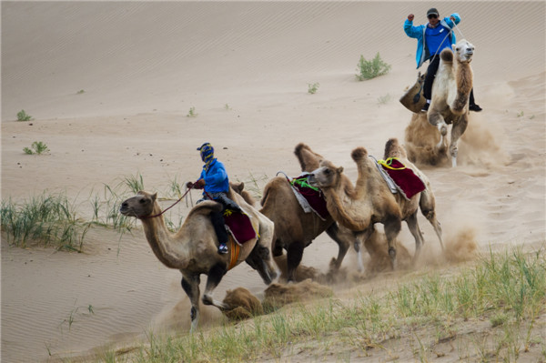 响沙湾,沙漠,度假地,景区,旅游,图片,照片,摄影,内蒙古响沙湾,内蒙古旅游,鄂尔多斯市旅游,莲花酒店,莲花度假酒店,莲沙度假岛,福沙度假岛,悦沙休闲岛,仙沙休闲岛,一粒沙度假村,在线预订,预定,旅行社,AAAAA,5A级旅游景区,库布齐,库布其沙漠,库布其旅游