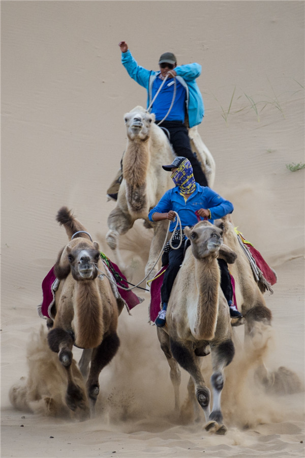 响沙湾,沙漠,度假地,景区,旅游,图片,照片,摄影,内蒙古响沙湾,内蒙古旅游,鄂尔多斯市旅游,莲花酒店,莲花度假酒店,莲沙度假岛,福沙度假岛,悦沙休闲岛,仙沙休闲岛,一粒沙度假村,在线预订,预定,旅行社,AAAAA,5A级旅游景区,库布齐,库布其沙漠,库布其旅游