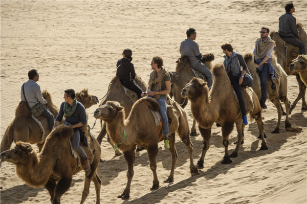 响沙湾,沙漠,度假地,景区,旅游,图片,照片,摄影,内蒙古响沙湾,内蒙古旅游,鄂尔多斯市旅游,莲花酒店,莲花度假酒店,莲沙度假岛,福沙度假岛,悦沙休闲岛,仙沙休闲岛,一粒沙度假村,在线预订,预定,旅行社,AAAAA,5A级旅游景区,库布齐,库布其沙漠,库布其旅游