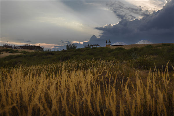 响沙湾,沙漠,度假地,景区,旅游,图片,照片,摄影,内蒙古响沙湾,内蒙古旅游,鄂尔多斯市旅游,莲花酒店,莲花度假酒店,莲沙度假岛,福沙度假岛,悦沙休闲岛,仙沙休闲岛,一粒沙度假村,在线预订,预定,旅行社,AAAAA,5A级旅游景区,库布齐,库布其沙漠,库布其旅游
