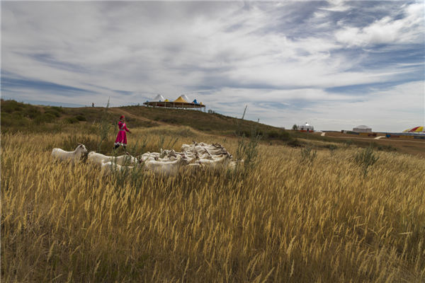 响沙湾,沙漠,度假地,景区,旅游,图片,照片,摄影,内蒙古响沙湾,内蒙古旅游,鄂尔多斯市旅游,莲花酒店,莲花度假酒店,莲沙度假岛,福沙度假岛,悦沙休闲岛,仙沙休闲岛,一粒沙度假村,在线预订,预定,旅行社,AAAAA,5A级旅游景区,库布齐,库布其沙漠,库布其旅游