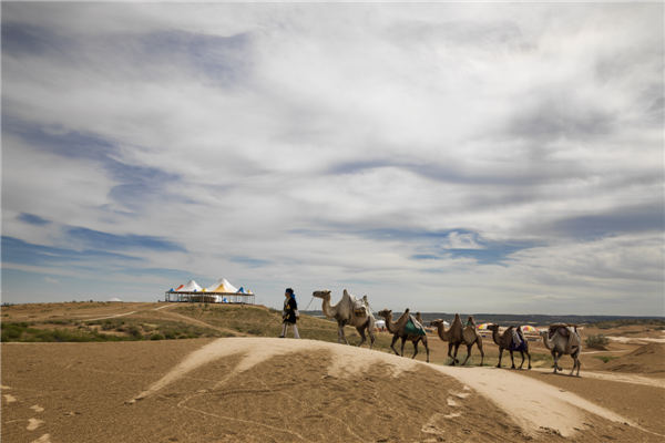 响沙湾,沙漠,度假地,景区,旅游,图片,照片,摄影,内蒙古响沙湾,内蒙古旅游,鄂尔多斯市旅游,莲花酒店,莲花度假酒店,莲沙度假岛,福沙度假岛,悦沙休闲岛,仙沙休闲岛,一粒沙度假村,在线预订,预定,旅行社,AAAAA,5A级旅游景区,库布齐,库布其沙漠,库布其旅游