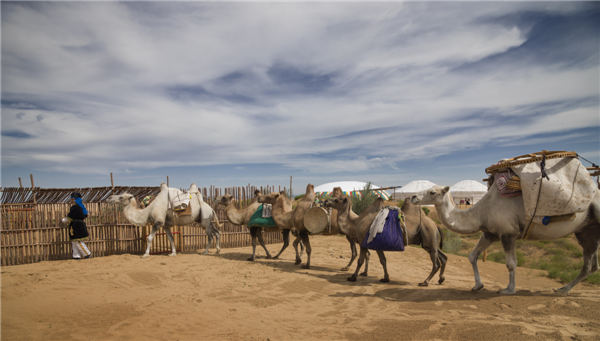 响沙湾,沙漠,度假地,景区,旅游,图片,照片,摄影,内蒙古响沙湾,内蒙古旅游,鄂尔多斯市旅游,莲花酒店,莲花度假酒店,莲沙度假岛,福沙度假岛,悦沙休闲岛,仙沙休闲岛,一粒沙度假村,在线预订,预定,旅行社,AAAAA,5A级旅游景区,库布齐,库布其沙漠,库布其旅游