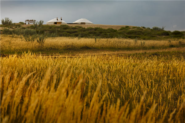 响沙湾,沙漠,度假地,景区,旅游,图片,照片,摄影,内蒙古响沙湾,内蒙古旅游,鄂尔多斯市旅游,莲花酒店,莲花度假酒店,莲沙度假岛,福沙度假岛,悦沙休闲岛,仙沙休闲岛,一粒沙度假村,在线预订,预定,旅行社,AAAAA,5A级旅游景区,库布齐,库布其沙漠,库布其旅游