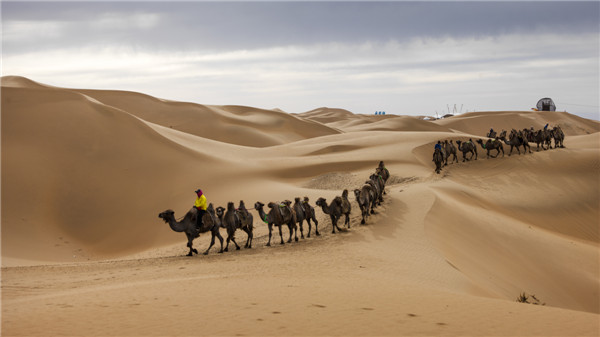 响沙湾,沙漠,度假地,景区,旅游,图片,照片,摄影,内蒙古响沙湾,内蒙古旅游,鄂尔多斯市旅游,莲花酒店,莲花度假酒店,莲沙度假岛,福沙度假岛,悦沙休闲岛,仙沙休闲岛,一粒沙度假村,在线预订,预定,旅行社,AAAAA,5A级旅游景区,库布齐,库布其沙漠,库布其旅游