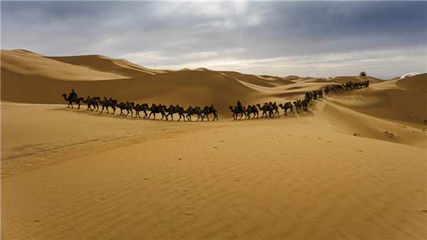 响沙湾,沙漠,度假地,景区,旅游,图片,照片,摄影,内蒙古响沙湾,内蒙古旅游,鄂尔多斯市旅游,莲花酒店,莲花度假酒店,莲沙度假岛,福沙度假岛,悦沙休闲岛,仙沙休闲岛,一粒沙度假村,在线预订,预定,旅行社,AAAAA,5A级旅游景区,库布齐,库布其沙漠,库布其旅游