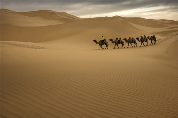 响沙湾,沙漠,度假地,景区,旅游,图片,照片,摄影,内蒙古响沙湾,内蒙古旅游,鄂尔多斯市旅游,莲花酒店,莲花度假酒店,莲沙度假岛,福沙度假岛,悦沙休闲岛,仙沙休闲岛,一粒沙度假村,在线预订,预定,旅行社,AAAAA,5A级旅游景区,库布齐,库布其沙漠,库布其旅游