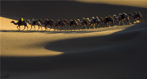 响沙湾,沙漠,度假地,景区,旅游,图片,照片,摄影,内蒙古响沙湾,内蒙古旅游,鄂尔多斯市旅游,莲花酒店,莲花度假酒店,莲沙度假岛,福沙度假岛,悦沙休闲岛,仙沙休闲岛,一粒沙度假村,在线预订,预定,旅行社,AAAAA,5A级旅游景区,库布齐,库布其沙漠,库布其旅游