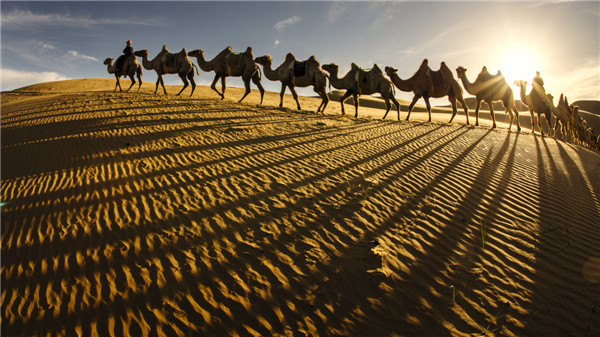 响沙湾,沙漠,度假地,景区,旅游,图片,照片,摄影,内蒙古响沙湾,内蒙古旅游,鄂尔多斯市旅游,莲花酒店,莲花度假酒店,莲沙度假岛,福沙度假岛,悦沙休闲岛,仙沙休闲岛,一粒沙度假村,在线预订,预定,旅行社,AAAAA,5A级旅游景区,库布齐,库布其沙漠,库布其旅游