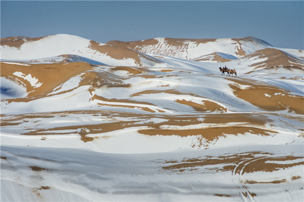 响沙湾,沙漠,度假地,景区,旅游,图片,照片,摄影,内蒙古响沙湾,内蒙古旅游,鄂尔多斯市旅游,莲花酒店,莲花度假酒店,莲沙度假岛,福沙度假岛,悦沙休闲岛,仙沙休闲岛,一粒沙度假村,在线预订,预定,旅行社,AAAAA,5A级旅游景区,库布齐,库布其沙漠,库布其旅游