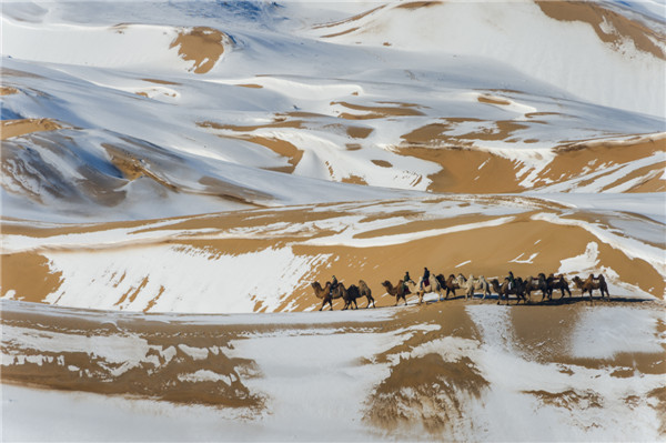响沙湾,沙漠,度假地,景区,旅游,图片,照片,摄影,内蒙古响沙湾,内蒙古旅游,鄂尔多斯市旅游,莲花酒店,莲花度假酒店,莲沙度假岛,福沙度假岛,悦沙休闲岛,仙沙休闲岛,一粒沙度假村,在线预订,预定,旅行社,AAAAA,5A级旅游景区,库布齐,库布其沙漠,库布其旅游