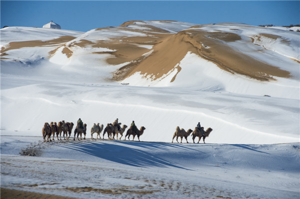 响沙湾,沙漠,度假地,景区,旅游,图片,照片,摄影,内蒙古响沙湾,内蒙古旅游,鄂尔多斯市旅游,莲花酒店,莲花度假酒店,莲沙度假岛,福沙度假岛,悦沙休闲岛,仙沙休闲岛,一粒沙度假村,在线预订,预定,旅行社,AAAAA,5A级旅游景区,库布齐,库布其沙漠,库布其旅游