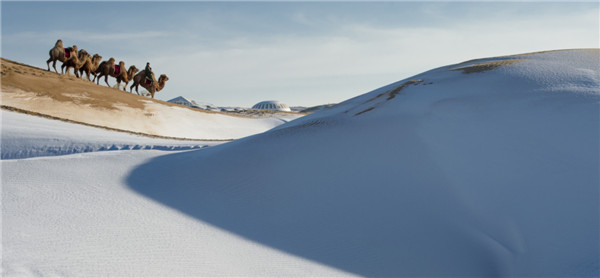 响沙湾,沙漠,度假地,景区,旅游,图片,照片,摄影,内蒙古响沙湾,内蒙古旅游,鄂尔多斯市旅游,莲花酒店,莲花度假酒店,莲沙度假岛,福沙度假岛,悦沙休闲岛,仙沙休闲岛,一粒沙度假村,在线预订,预定,旅行社,AAAAA,5A级旅游景区,库布齐,库布其沙漠,库布其旅游