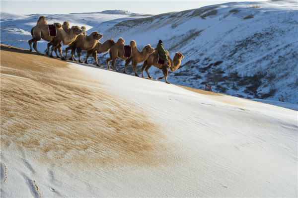 响沙湾,沙漠,度假地,景区,旅游,图片,照片,摄影,内蒙古响沙湾,内蒙古旅游,鄂尔多斯市旅游,莲花酒店,莲花度假酒店,莲沙度假岛,福沙度假岛,悦沙休闲岛,仙沙休闲岛,一粒沙度假村,在线预订,预定,旅行社,AAAAA,5A级旅游景区,库布齐,库布其沙漠,库布其旅游