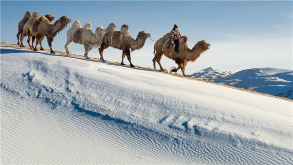 响沙湾,沙漠,度假地,景区,旅游,图片,照片,摄影,内蒙古响沙湾,内蒙古旅游,鄂尔多斯市旅游,莲花酒店,莲花度假酒店,莲沙度假岛,福沙度假岛,悦沙休闲岛,仙沙休闲岛,一粒沙度假村,在线预订,预定,旅行社,AAAAA,5A级旅游景区,库布齐,库布其沙漠,库布其旅游