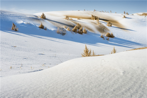 响沙湾,沙漠,度假地,景区,旅游,图片,照片,摄影,内蒙古响沙湾,内蒙古旅游,鄂尔多斯市旅游,莲花酒店,莲花度假酒店,莲沙度假岛,福沙度假岛,悦沙休闲岛,仙沙休闲岛,一粒沙度假村,在线预订,预定,旅行社,AAAAA,5A级旅游景区,库布齐,库布其沙漠,库布其旅游