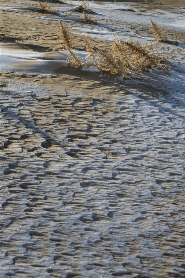 响沙湾,沙漠,度假地,景区,旅游,图片,照片,摄影,内蒙古响沙湾,内蒙古旅游,鄂尔多斯市旅游,莲花酒店,莲花度假酒店,莲沙度假岛,福沙度假岛,悦沙休闲岛,仙沙休闲岛,一粒沙度假村,在线预订,预定,旅行社,AAAAA,5A级旅游景区,库布齐,库布其沙漠,库布其旅游