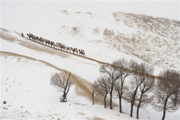 响沙湾,沙漠,度假地,景区,旅游,图片,照片,摄影,内蒙古响沙湾,内蒙古旅游,鄂尔多斯市旅游,莲花酒店,莲花度假酒店,莲沙度假岛,福沙度假岛,悦沙休闲岛,仙沙休闲岛,一粒沙度假村,在线预订,预定,旅行社,AAAAA,5A级旅游景区,库布齐,库布其沙漠,库布其旅游