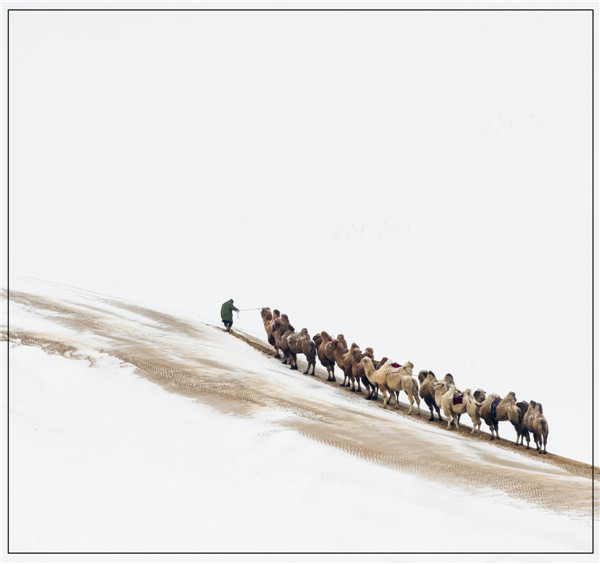 响沙湾,沙漠,度假地,景区,旅游,图片,照片,摄影,内蒙古响沙湾,内蒙古旅游,鄂尔多斯市旅游,莲花酒店,莲花度假酒店,莲沙度假岛,福沙度假岛,悦沙休闲岛,仙沙休闲岛,一粒沙度假村,在线预订,预定,旅行社,AAAAA,5A级旅游景区,库布齐,库布其沙漠,库布其旅游