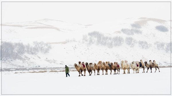 响沙湾,沙漠,度假地,景区,旅游,图片,照片,摄影,内蒙古响沙湾,内蒙古旅游,鄂尔多斯市旅游,莲花酒店,莲花度假酒店,莲沙度假岛,福沙度假岛,悦沙休闲岛,仙沙休闲岛,一粒沙度假村,在线预订,预定,旅行社,AAAAA,5A级旅游景区,库布齐,库布其沙漠,库布其旅游