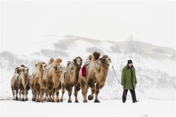 响沙湾,沙漠,度假地,景区,旅游,图片,照片,摄影,内蒙古响沙湾,内蒙古旅游,鄂尔多斯市旅游,莲花酒店,莲花度假酒店,莲沙度假岛,福沙度假岛,悦沙休闲岛,仙沙休闲岛,一粒沙度假村,在线预订,预定,旅行社,AAAAA,5A级旅游景区,库布齐,库布其沙漠,库布其旅游