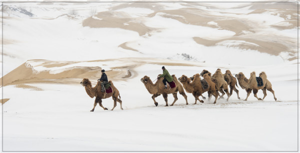 响沙湾,沙漠,度假地,景区,旅游,图片,照片,摄影,内蒙古响沙湾,内蒙古旅游,鄂尔多斯市旅游,莲花酒店,莲花度假酒店,莲沙度假岛,福沙度假岛,悦沙休闲岛,仙沙休闲岛,一粒沙度假村,在线预订,预定,旅行社,AAAAA,5A级旅游景区,库布齐,库布其沙漠,库布其旅游