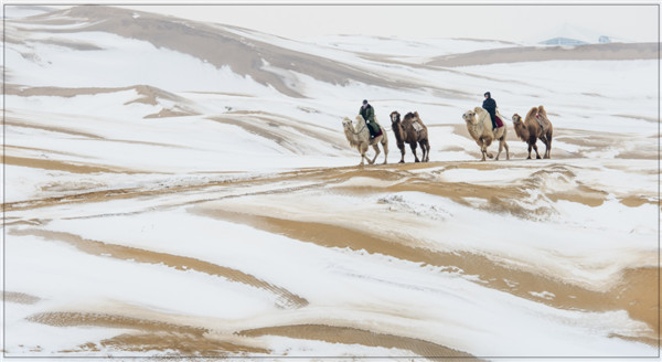 响沙湾,沙漠,度假地,景区,旅游,图片,照片,摄影,内蒙古响沙湾,内蒙古旅游,鄂尔多斯市旅游,莲花酒店,莲花度假酒店,莲沙度假岛,福沙度假岛,悦沙休闲岛,仙沙休闲岛,一粒沙度假村,在线预订,预定,旅行社,AAAAA,5A级旅游景区,库布齐,库布其沙漠,库布其旅游