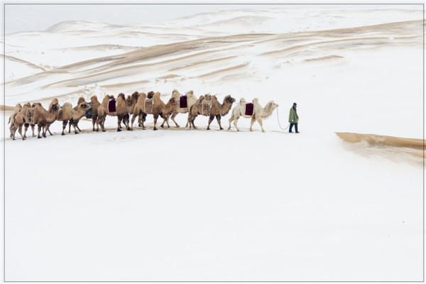 响沙湾,沙漠,度假地,景区,旅游,图片,照片,摄影,内蒙古响沙湾,内蒙古旅游,鄂尔多斯市旅游,莲花酒店,莲花度假酒店,莲沙度假岛,福沙度假岛,悦沙休闲岛,仙沙休闲岛,一粒沙度假村,在线预订,预定,旅行社,AAAAA,5A级旅游景区,库布齐,库布其沙漠,库布其旅游