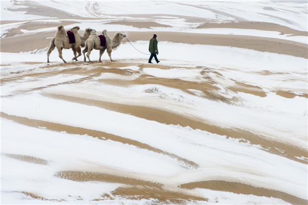 响沙湾,沙漠,度假地,景区,旅游,图片,照片,摄影,内蒙古响沙湾,内蒙古旅游,鄂尔多斯市旅游,莲花酒店,莲花度假酒店,莲沙度假岛,福沙度假岛,悦沙休闲岛,仙沙休闲岛,一粒沙度假村,在线预订,预定,旅行社,AAAAA,5A级旅游景区,库布齐,库布其沙漠,库布其旅游