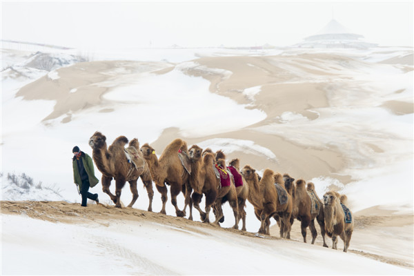 响沙湾,沙漠,度假地,景区,旅游,图片,照片,摄影,内蒙古响沙湾,内蒙古旅游,鄂尔多斯市旅游,莲花酒店,莲花度假酒店,莲沙度假岛,福沙度假岛,悦沙休闲岛,仙沙休闲岛,一粒沙度假村,在线预订,预定,旅行社,AAAAA,5A级旅游景区,库布齐,库布其沙漠,库布其旅游