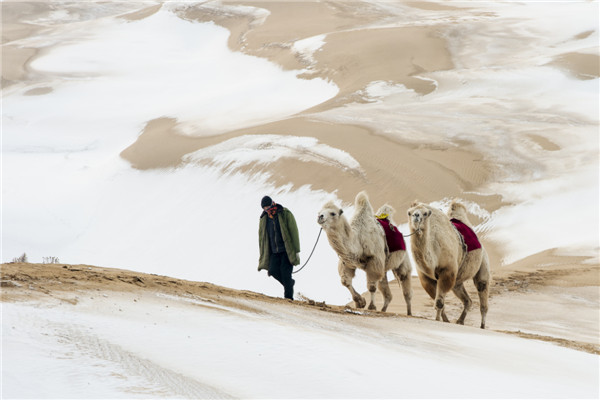 响沙湾,沙漠,度假地,景区,旅游,图片,照片,摄影,内蒙古响沙湾,内蒙古旅游,鄂尔多斯市旅游,莲花酒店,莲花度假酒店,莲沙度假岛,福沙度假岛,悦沙休闲岛,仙沙休闲岛,一粒沙度假村,在线预订,预定,旅行社,AAAAA,5A级旅游景区,库布齐,库布其沙漠,库布其旅游