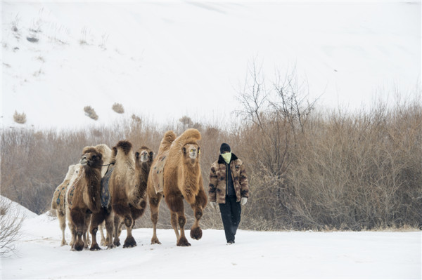 响沙湾,沙漠,度假地,景区,旅游,图片,照片,摄影,内蒙古响沙湾,内蒙古旅游,鄂尔多斯市旅游,莲花酒店,莲花度假酒店,莲沙度假岛,福沙度假岛,悦沙休闲岛,仙沙休闲岛,一粒沙度假村,在线预订,预定,旅行社,AAAAA,5A级旅游景区,库布齐,库布其沙漠,库布其旅游