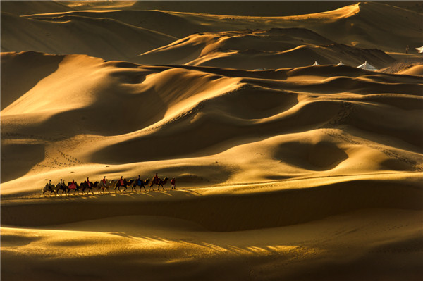 响沙湾,沙漠,度假地,景区,旅游,图片,照片,摄影,内蒙古响沙湾,内蒙古旅游,鄂尔多斯市旅游,莲花酒店,莲花度假酒店,莲沙度假岛,福沙度假岛,悦沙休闲岛,仙沙休闲岛,一粒沙度假村,在线预订,预定,旅行社,AAAAA,5A级旅游景区,库布齐,库布其沙漠,库布其旅游