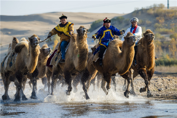 响沙湾,沙漠,度假地,景区,旅游,图片,照片,摄影,内蒙古响沙湾,内蒙古旅游,鄂尔多斯市旅游,莲花酒店,莲花度假酒店,莲沙度假岛,福沙度假岛,悦沙休闲岛,仙沙休闲岛,一粒沙度假村,在线预订,预定,旅行社,AAAAA,5A级旅游景区,库布齐,库布其沙漠,库布其旅游